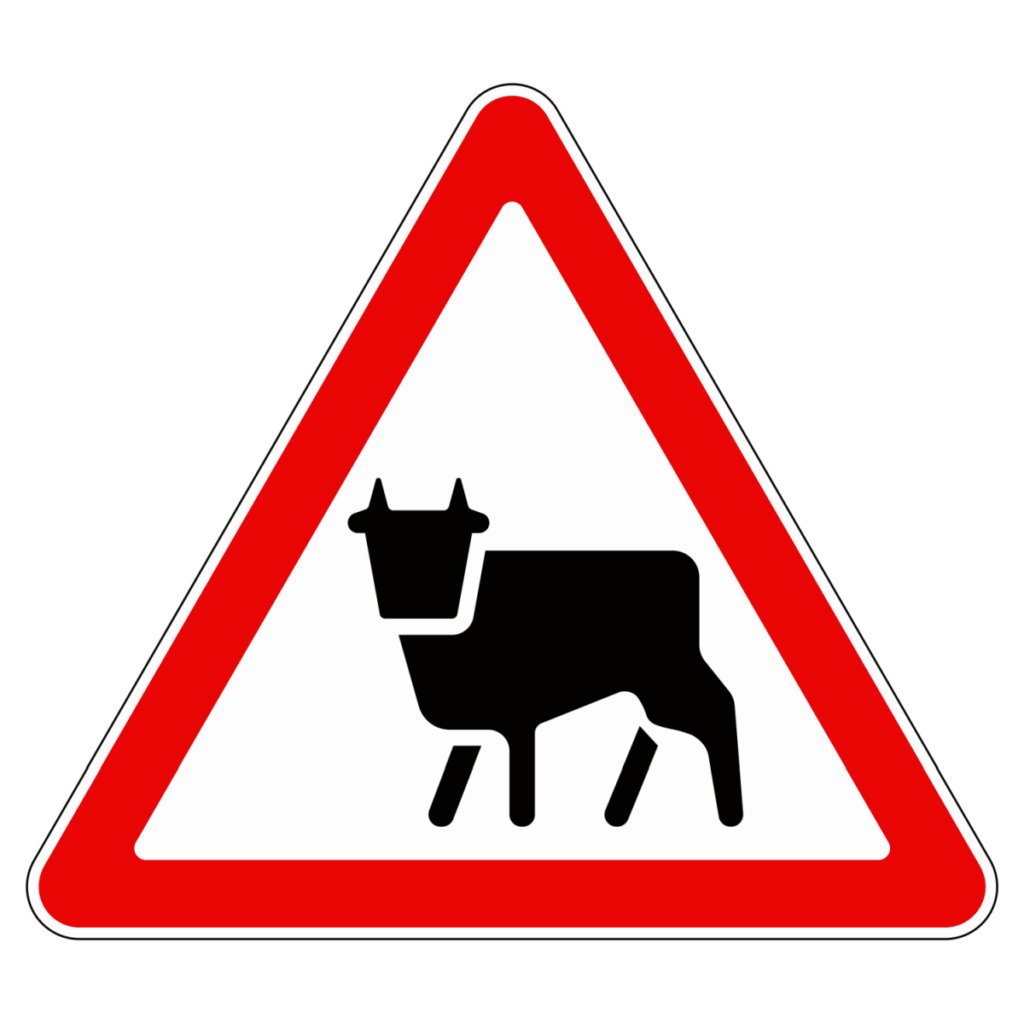 Предупреждающие дорожные знаки Перегон скота